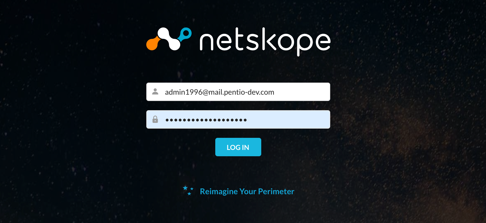 Netskope-30.png